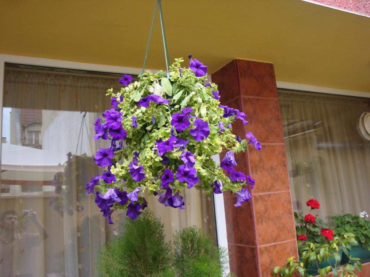 Hotel Color Varna Exterior foto